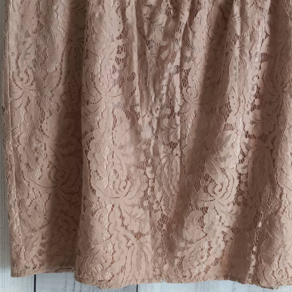 Ann Taylor LOFT | Blush Pink Lace Mini Skirt with Black Trim Waistline - Picture 2 of 8
